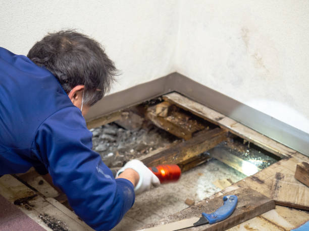 Best Post-Remediation Services in Roland, OK