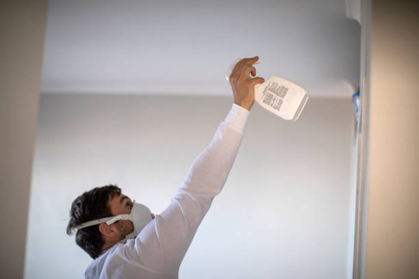 Best Basement Mold Remediation in Roland, OK