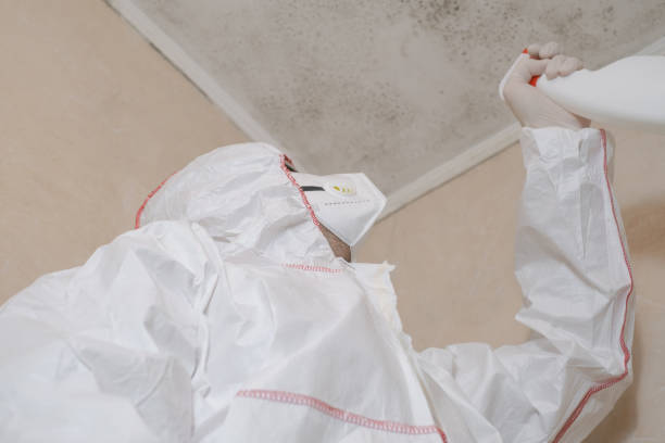 Roland, OK Mold Remediation Company