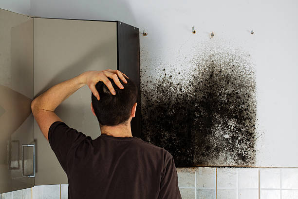 Roland, OK Mold Remediation Company